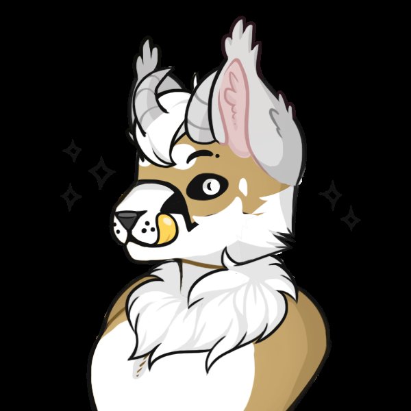 An early depiction of Oscar by a fursona maker